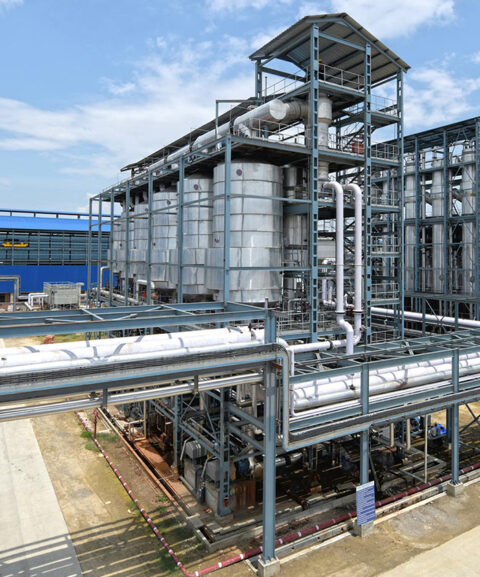 sugar-industry